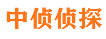 麦盖提市侦探公司